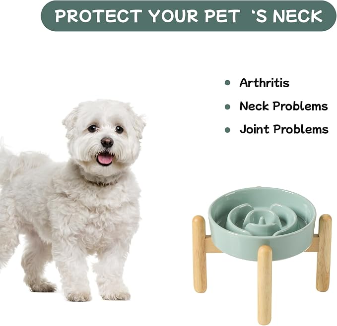 Havniva 6.1” Raised Slow Feeder Dog Bowls, 0.9 Cups Ceramic Dog Bowl Slow Feeding for Small Breed, Elevated Puzzle Dog Food Bowl with Wooden Stand Non-Slip Anti-Gulping & Anti-Choking