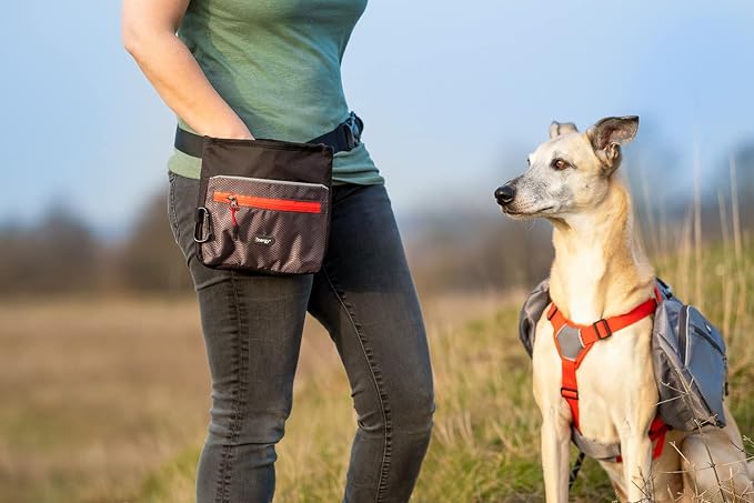 iEnergy™ ELI Belt Pouch: Ideal Dog Training Accessory, Hands-Free Dog Walking Belt with Treat Pouch, Magnetic Closure, Waist Pack for Dog & Horse Owners - Perfect Dog Hiking Gear (Green)