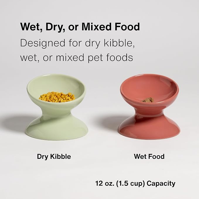RAWRY Raised Ceramic Cat Bowl, Elevated Tilted Cat Bowl, Wide Shallow Cat Dish, Whisker Fatigue Cat Bowl, Dishwasher & Microwave Safe for Wet or Dry Food, Cats & Small Dogs, 12 oz (Plum)