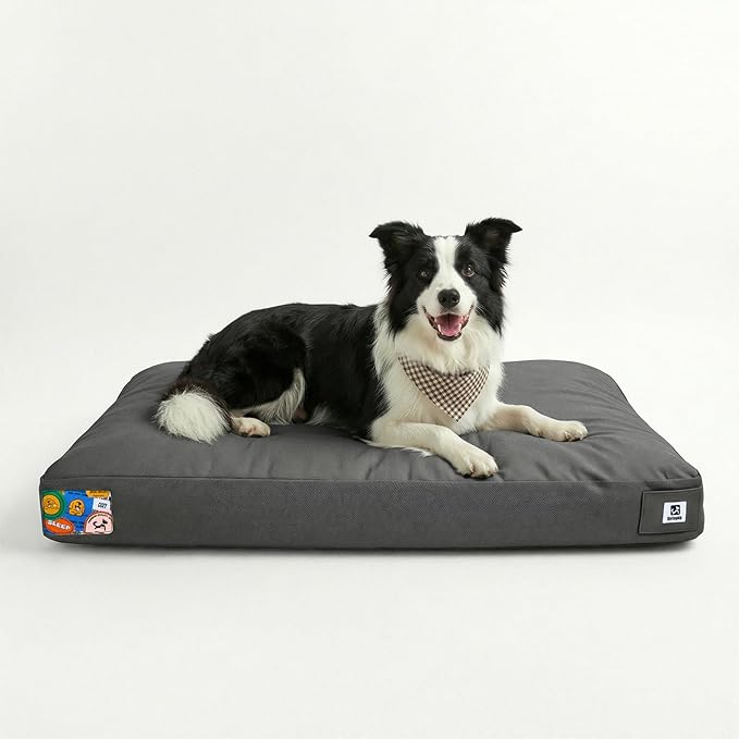 Sytopia 36 Inch Canvas Outdoor Dog Bed for Large Dogs, Durable Dog Bed with Waterproof Machine Washable Removable Cover, Indoor Patio Pet Pad for Crate, Dark Grey