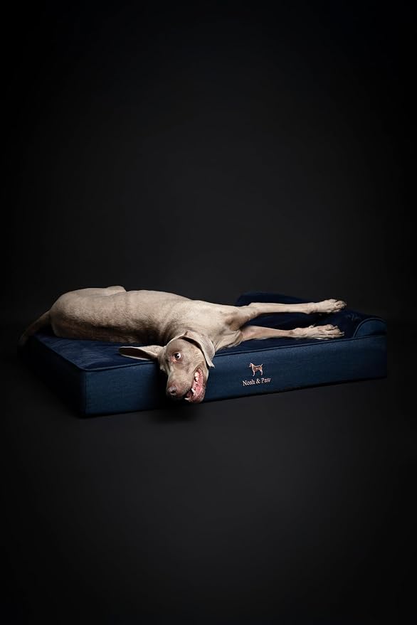 NOAH & PAW XL Dog Bed, 45x35x9.1 Inch, Orthopedic Large Dog Beds, Eggshell Memory Foam Infused with Cooling Gel, Water Resistant, Machine Washable, Includes Inner Cover (Denim Collection)
