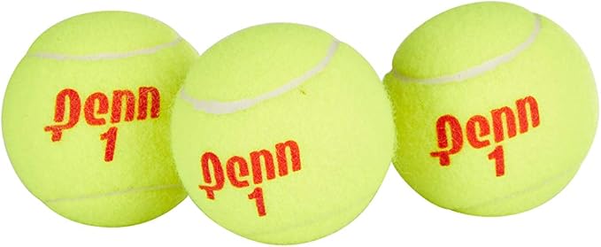 Penn Championship Tennis Balls - Regular Duty