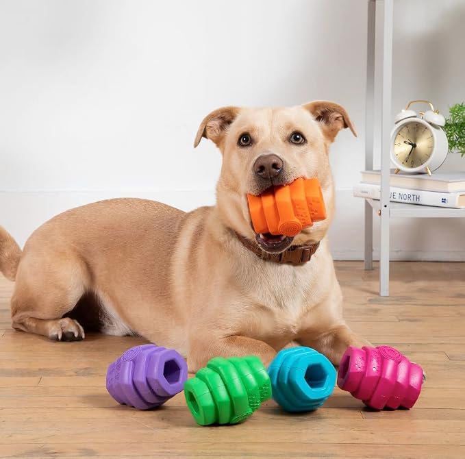 HIVE Parent (Sweet Mango, Hive Chew Toy for Large Dogs)