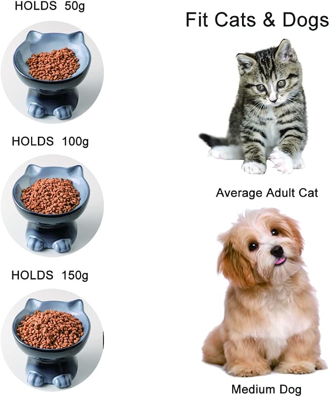 Nihow Elevated Cat/Dog Bowls: 6.25 Inch Ceramic Raised Cat Food & Water Bowl Set for Protecting Pet's Spine - Feeding & Watering Supplies for Cat/Small Size Dog - Elegant Gray (6.8 OZ /1 PC)