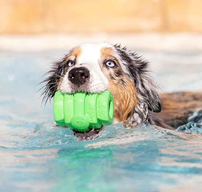 HIVE Parent (Tropical Coconut, Hive Chew Toy for Large Dogs)