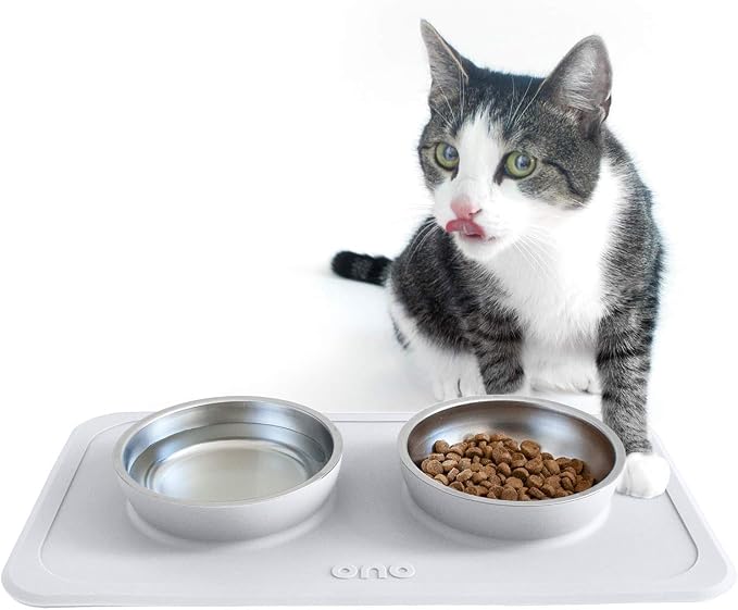 Ono Good Bowl Food & Water Double Feeder - Small to Medium Pets No Spill Non Skid Silicone Mat & Stainless Steel Bowls for Dogs or Cats (Cool Gray)