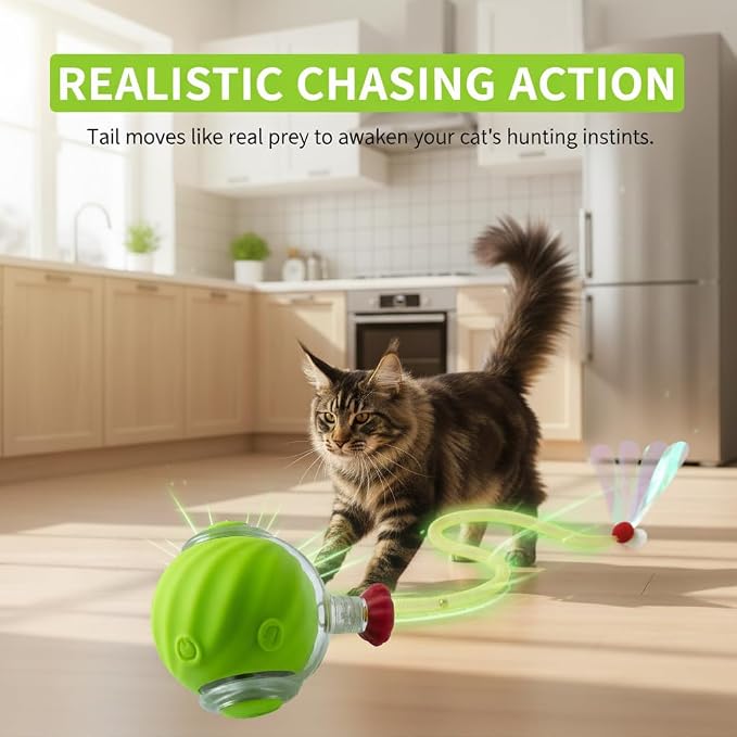Cat Toys for Indoor Cats – Automatic Kitten Interactive Toy with Speedy Ball Tail as Pet Mental Stimulation - Kittens Small Dogs and Bored Adult Dog Balls to Keep Them Busy 2026 (Green Ball)