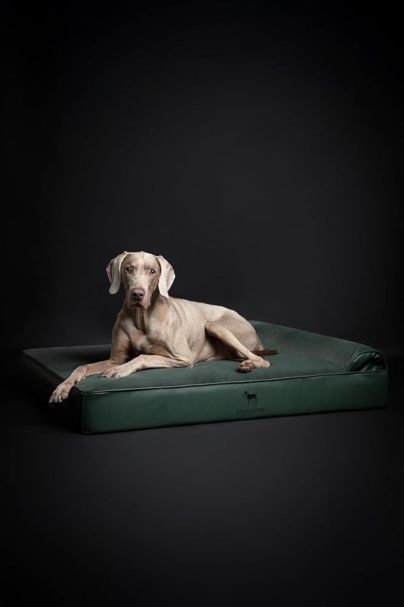 NOAH & PAW XL Dog Bed, 45x35x9.1 Inch, Orthopedic Large Dog Beds, Eggshell Memory Foam Infused with Cooling Gel, Water Resistant, Machine Washable, Includes Inner Cover (Faux Leather)