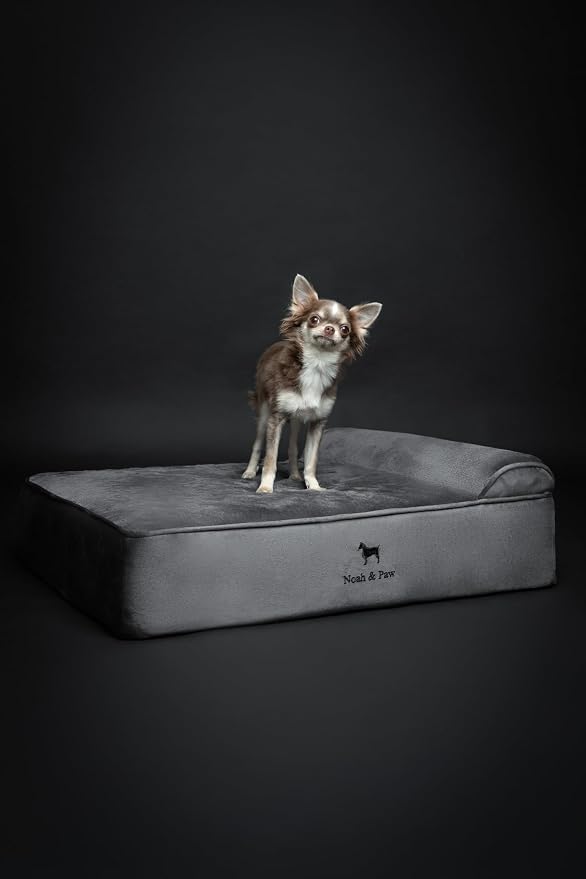 NOAH & PAW Dog Bed, 28x23x7.5 Inch, Orthopedic Dog Beds for Medium Size Pets, Eggshell Memory Foam Infused with Cooling Gel, Water Resistant, Machine Washable, Includes Inner Cover (Velvet Collection)