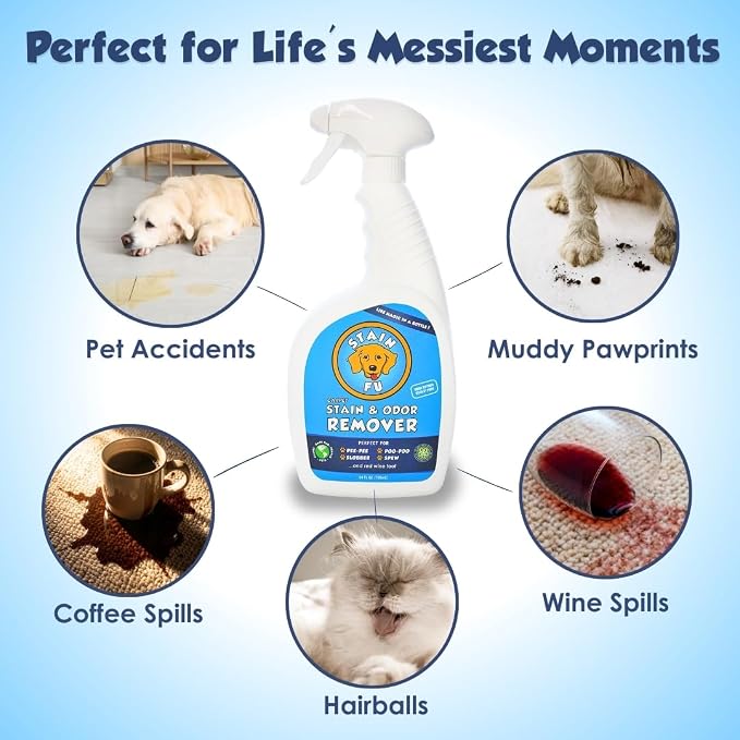 Pet Stain & Odor Remover – Carpet Cleaner Spray for Dog & Cat Urine, Feces, Vomit, Coffee & Wine Stains – Upholstery, Rugs & Furniture Cleaner – 24 oz