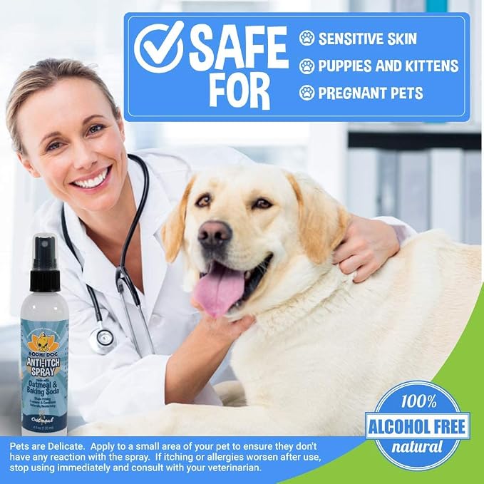 Bodhi Dog Itch Relief Spray - Natural Relief for Dry, Itchy, Allergic, or Bug-Bitten Skin - Safe for Dogs & Cats - Soothing Oatmeal Formula - Made in USA (Oatmeal, 4 Fl Oz)