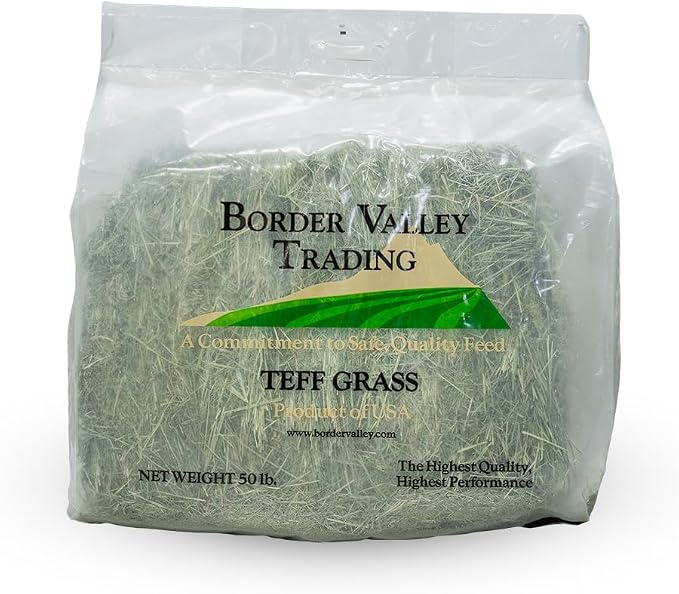 Border Valley Teff Grass Hay Bales, 40 lb - Soft Fine Stem Hay for Rabbits, Guinea Pigs, Chinchillas, Tortoises, Horses and Livestock - High Fiber Grass Bales, Farm-to-Home Freshness