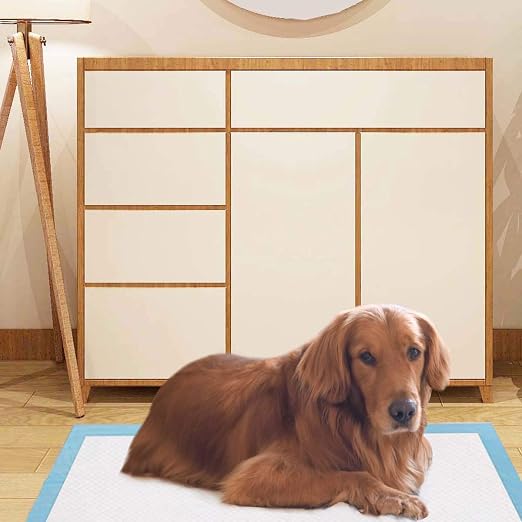 Giantex Dog Pee Pads 200 Count, 36''x36'' Extra Large Dog Potty Pads, Powerful Absorbency, 5-Layer Design, Leak-Proof Disposable Pet Piddle Training Pad for Dogs Doggie Cats Rabbits