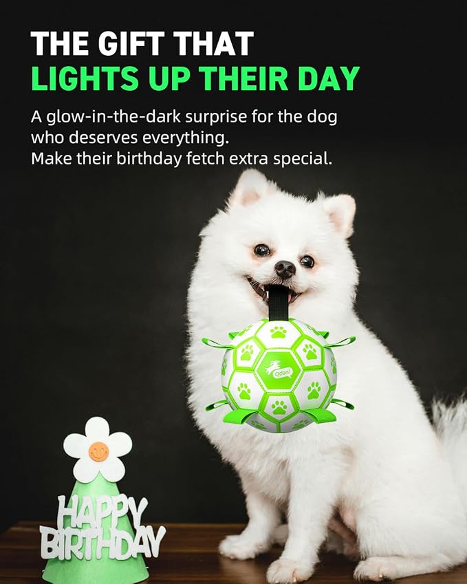QDAN Premium Glow in The Dark Dog Toys, Dog Ball with Straps, Soccer Ball for Dogs, Outdoor Dog Toys, Pet Birthday Toys, Puppy Essentials for Medium to Large (8Inch)