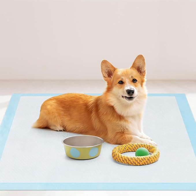 PETSITE Dog and Puppy Pee Pads, 6-Layer Leak-Proof Super Absorbent, Quick-Dry Surface, Indoor Outdoor Disposable Potty Training Pads, Blue & White (36" x 24" (150 Count))