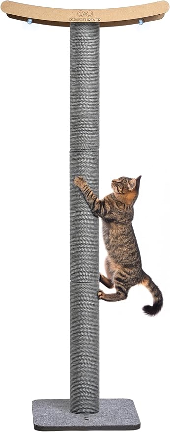 Heavy Duty Cat Window Perch with Scratching Post – Large Scratching Post with Perch, Strong Suction Cups, Eco, Multi-Level Cat Furniture for Indoor Cats (Grey)
