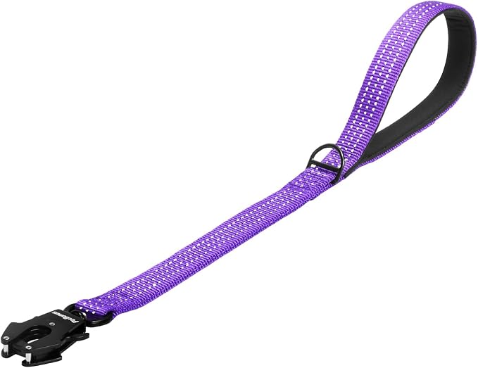 PetBonus Heavy Duty 24 Inch Short Dog Leash and 2-Pack Silicone Collapsible Dog Bowls