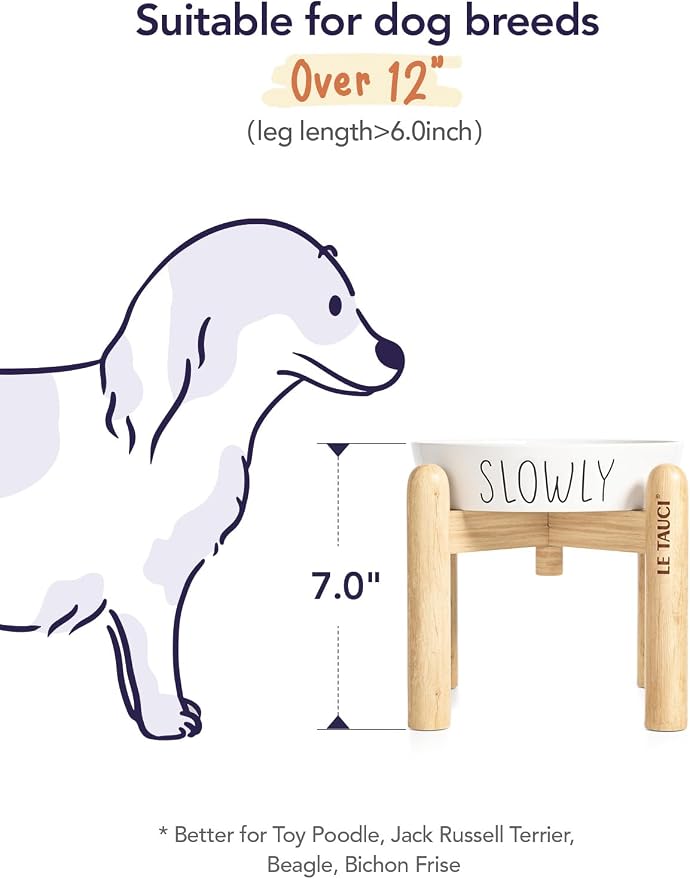 LE TAUCI PET Ceramic Slow Feeder Dog Bowls Elevated for Small and Medium Breed with Wooden Stand, 1.5 Cups Dog Dishes to Slow Down Eating, Anti-Gulping Pet Feeding Dishes,White