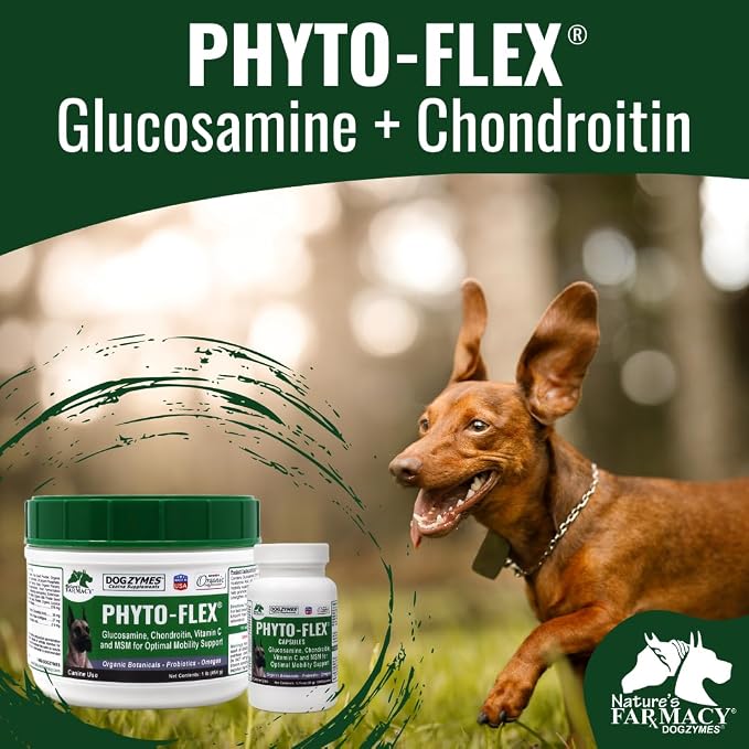 Dogzymes Phyto Flex - Glucosamine, Chondroitin, MSM and Hyaluronic Acid… (2 Pound)