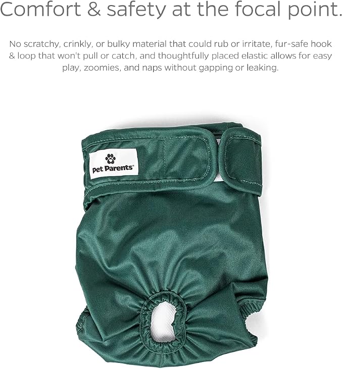 Pet Parents® Washable Dog Diapers (3pack) + Extendrs® of Durable Doggie Diapers, Premium Dog Diapers Female (Medium, Samba)