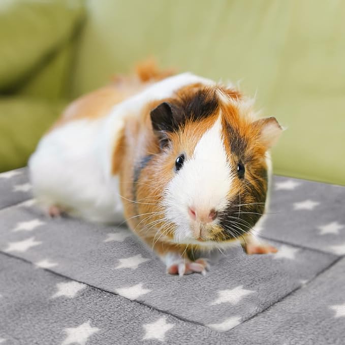 3PCS Guinea Pig Bed Soft Rabbit Bedding Cage Liner Warm Bunny Mats Pee Pads Fleece Blanket Plush Hamster Sleep Beds Ferret Squirrel Hedgehog Rat
