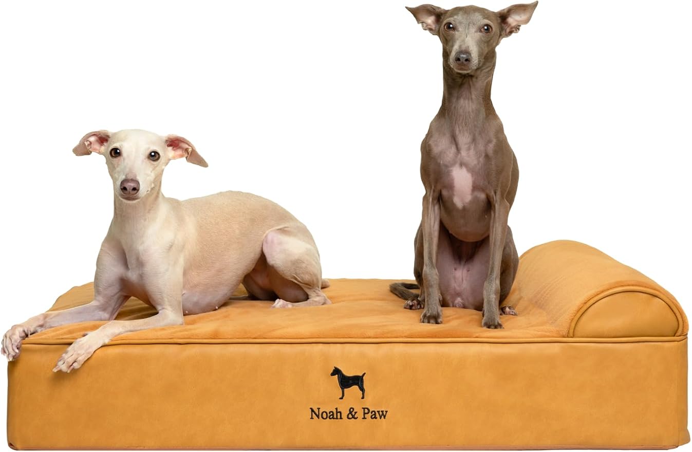 NOAH & PAW Large Dog Bed, 35x25x8.7 Inch, Orthopedic Dog Beds, Eggshell Memory Foam Infused with Cooling Gel, Water Resistant, Machine Washable, Includes Inner Cover (Faux Leather)