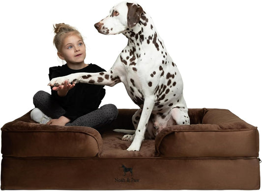 NOAH & PAW XL Dog Bed, 45x35x11 Inch, Orthopedic Large Dog Beds, Eggshell Memory Foam Infused with Cooling Gel, Inner Cover, Water Resistant, Machine Washable (Velvet Sofa Collection)