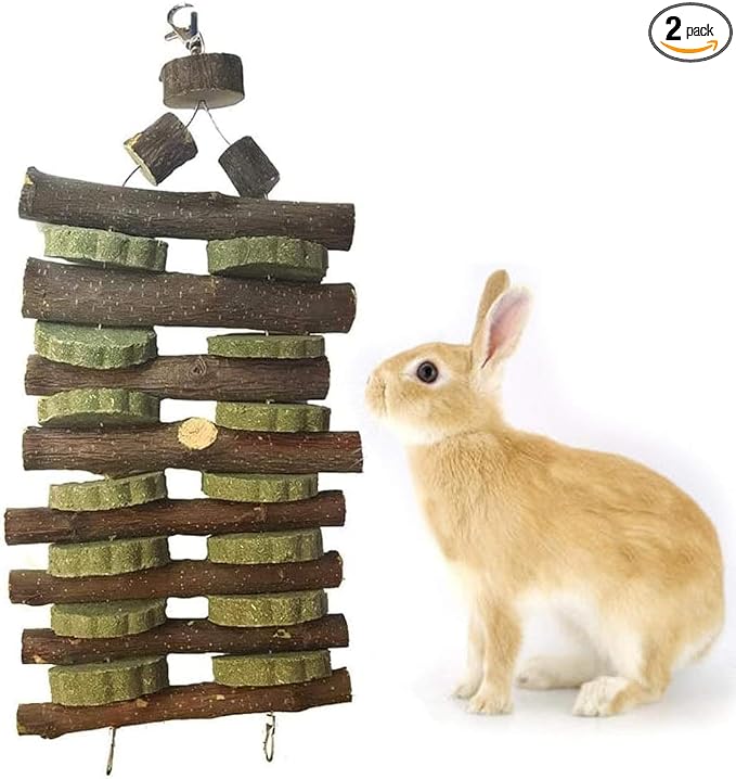 kathson Rabbit Bunny Chew Toys for Teeth, Natural Apple Wood Guinea Pigs Hanging Treats Chinchilla Treats Sticks for Rabbit Hamsters Bunny Chinchilla Squirrels and Gerbils
