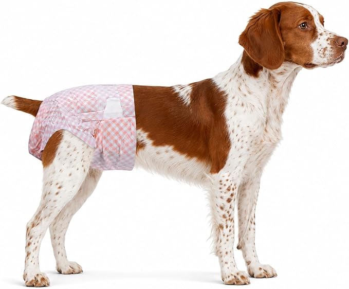 Disposable Female Dog Diapers for Waist 16–21 in, Leakproof, Super Absorbent, Soft Breathable Lining, for Dogs in Heat or Incontinence, 22 Count, L