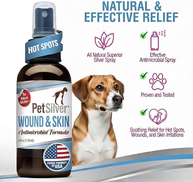 PetSilver Antibacterial Wound & Skin Spray | Dog Hot Spot Treatment & Cat Wound Spray | Chelated Silver Skin Soother for Rashes & Sores | Dog Wound Care & Itch Spray - 4 fl oz