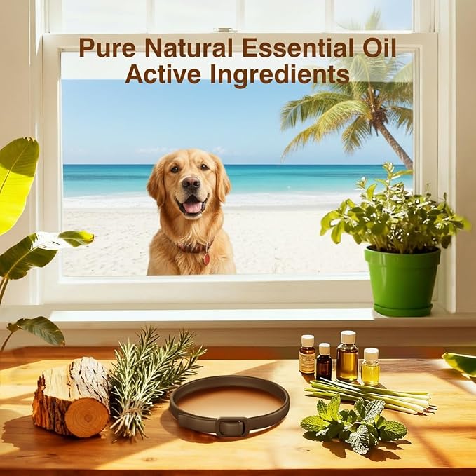 4 Pack Flea Collar for Dogs, Flea and Tick, Dog Flea Collar with Natural Essential Oils, Adjustable Size for All Ages of Dogs, Black