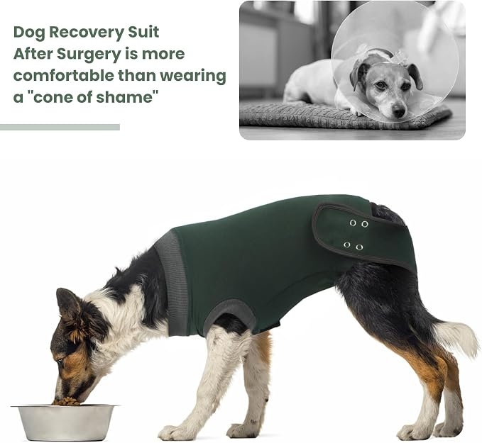 IDOMIK Dog Recovery Suit - Female Spay & Male Neuter Onesie, Anti-Licking Post Surgery Suit, Breathable & Comfortable, Adjustable, Machine Washable