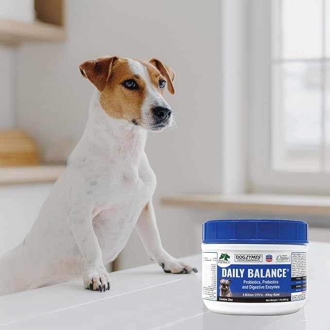 DOGZYMES Daily Balance Canine Supplement by Nature’s Farmacy – Probiotics + Prebiotics + Digestive Enzymes – 5 Billion CFUs – Whey Base – 1 lb (454 g)