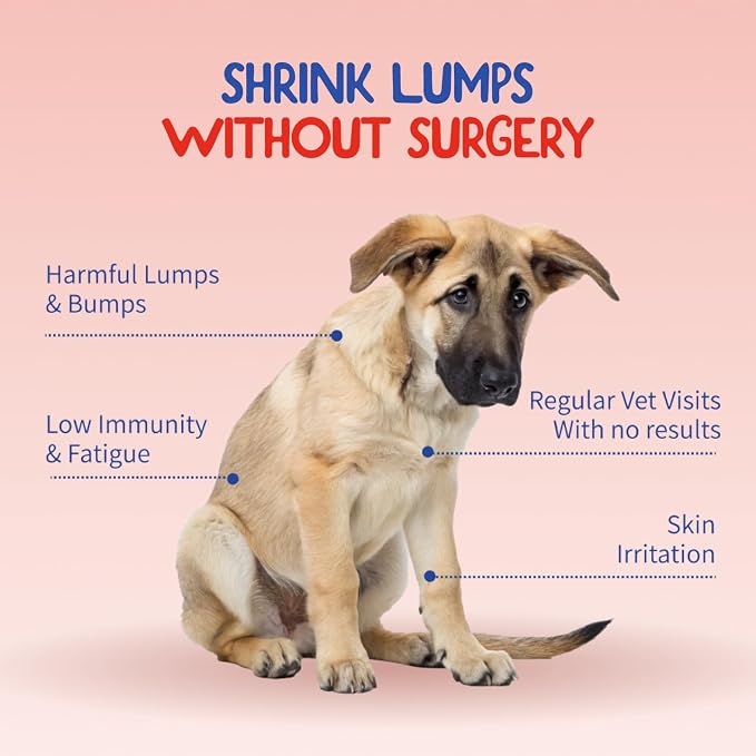 Fifth & Fido Turkey Tail Mushroom for Dogs – Lipoma Treatment for Dogs - Mushroom Supplement with Immune Support for Lipoma, Lumps & Bumps – Premium Pet Vitamins and Supplements Made in USA, 200 Serv.