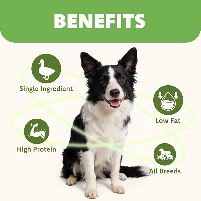 MON2SUN Dog Treats Duck Jerky, Single-Ingredient, Rawhide-Free, High Protein, Low Fat, Training Treats for Small to Large Dogs, 14.1 oz