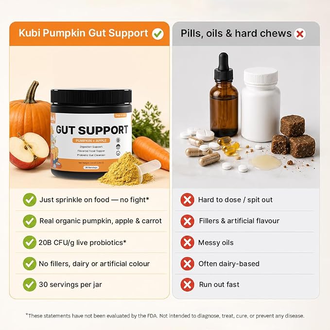 Pumpkin Gut Support for Dogs – Digestive Health Supplement with Natural Fiber & Probiotics, 30 Servings | Kubi Pets (30)