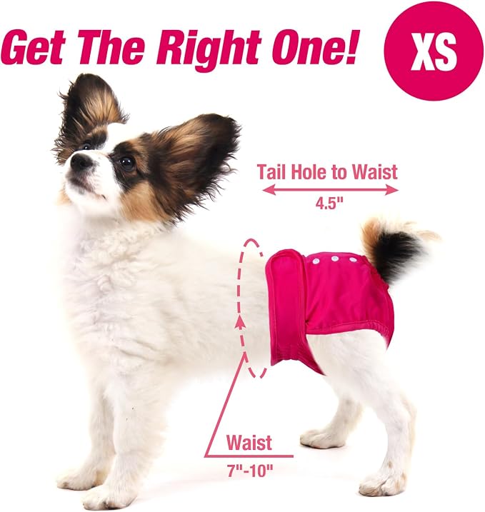 Pet Soft Washable Female Diapers (3 Pack) Female Dog Diapers, Comfort Reusable Doggy Diaper for Girl Dog in Period Heat (Classy, XS)