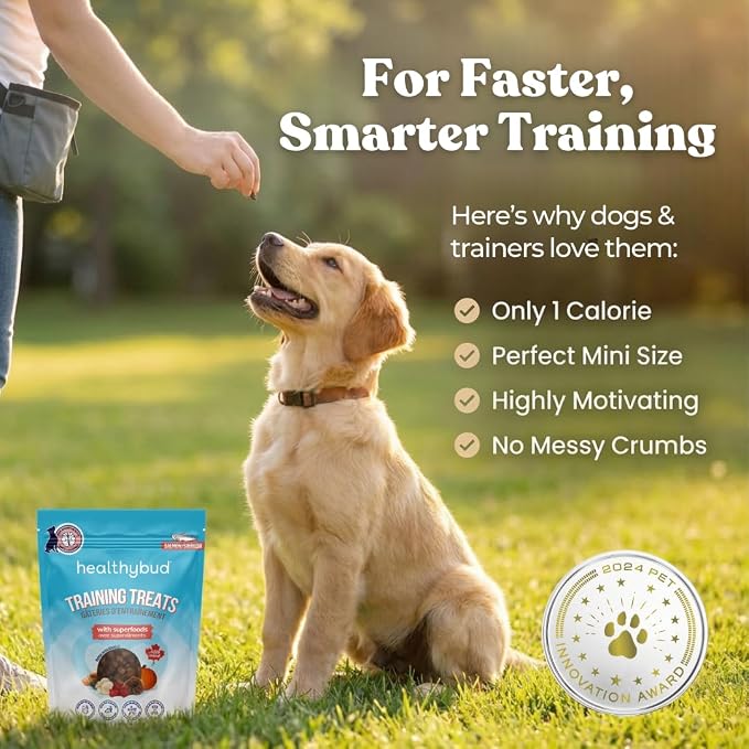 Healthybud Mini Salmon Dog Training Treats – Soft Low Calorie Bites (1 kcal Each) – 500+ Tiny Rewards for Puppies & Small Dogs – Salmon Oil, Lion’s Mane & Reishi – Grain Free – Made in Canada – 6.5 oz