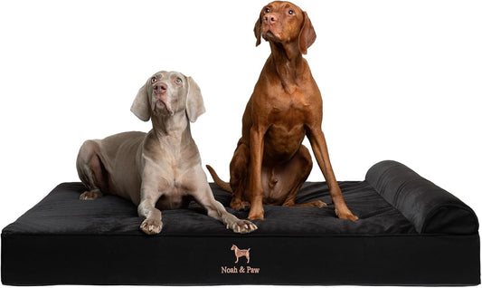 NOAH & PAW Giant Dog Bed XXL 55x45x9.5 Inch, Orthopedic Dog Beds, Eggshell Memory Foam Infused with Cooling Gel, Water Resistant, Machine Washable, Includes Inner Cover (Denim Collection)