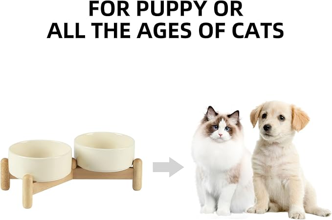 Havniva 5.1inch Ceramic Raised Dog Bowl with Stand, Double Dog Bowls Elevated for Small Breed Dog Food and Water Bowl Set Non-Slip Dog Dish Large Capacity Feeding Pet Water Bowl