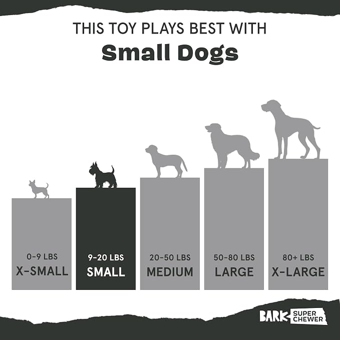 Barkbox Bear Hugger Dog Toy for Aggressive Chewers | 2-in-1 Plush & Rubber Treat-Dispensing Toy for Small Dogs | Puppy Teething Toys & Dog Toys to Keep Them Busy
