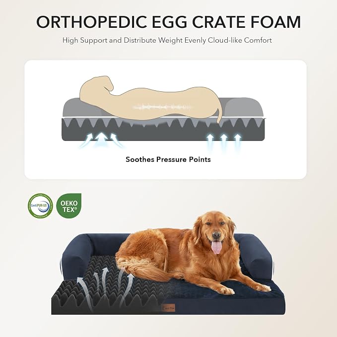 Orthopedic Dog Beds for Large Medium Sized Dogs, Waterproof Egg Crate Foam Large Dog Couch Beds with Comfy Bolster 36x27Inch, Washable Pet Beds with Removable Cover, Navy Blue