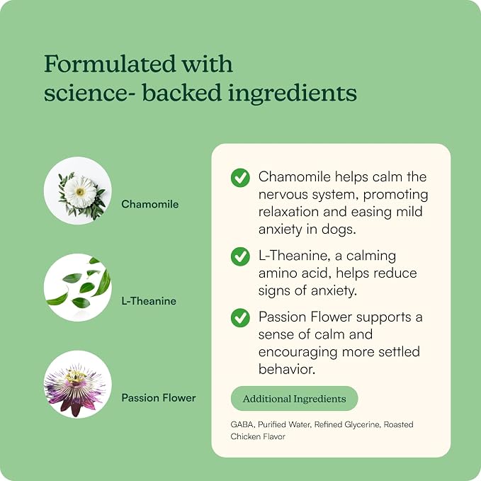 Reggie Anytime Calming Drops for Dogs | Fast-Acting Natural Anxiety Relief with L-Theanine, GABA & Chamomile | Dog Calming Tincture for Stress, Separation Anxiety, Thunderstorms & Travel | 2 fl oz