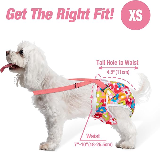 Pet Soft Dog Diapers Female with Suspenders, 3 Pack Reusable Female Dog Diapers for Heat, Dog Period Panties for Doggie in Cycle(X-Small, Floral)