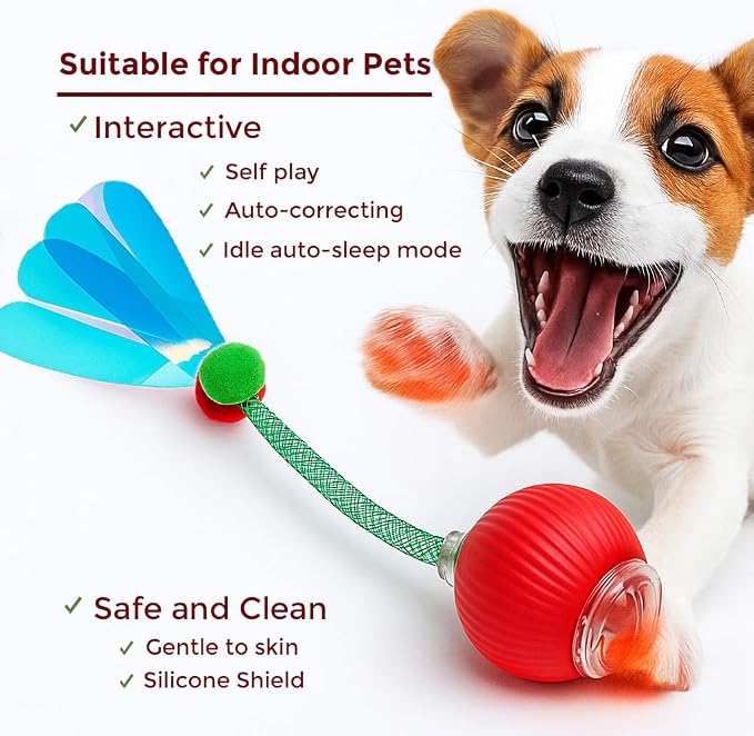 Cat Toys for Indoor Cats – 2X Automatic Kitten Interactive Toy with Speedy Ball Tail as Pet Mental Stimulation - Kittens Small Dogs and Bored Adult Dog Balls (2 Sets - Random Ball Color)
