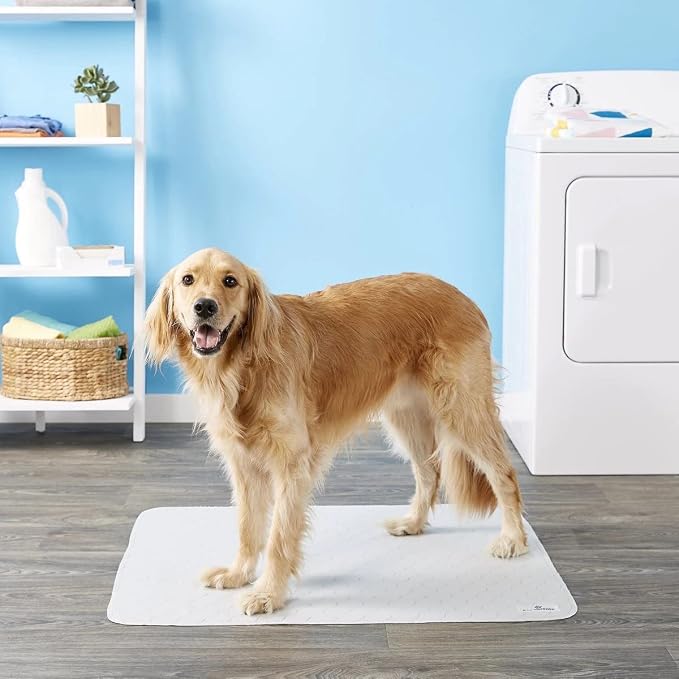 Pet Parents® Pawtect® Pads Washable Pee Pads for Dogs (2pack) of Premium Dog Pee Pads, Waterproof Puppy Pads & Reusable Dog Pads, Whelping Pads & Modern Pee Pads for Dogs (Grey, 41x41)