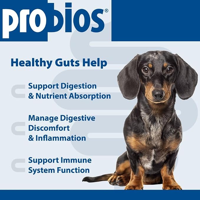 Probios for Dogs Soft Chews, Daily Probiotic Supplement for Gut Health, Digestion and Immune Support Medium and Large Breeds, Chicken Liver Flavor, 4.23oz 120 Chews (Pack of 2)