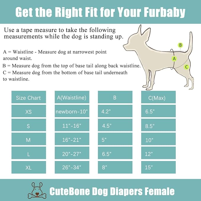 CuteBone Dog Diapers Female 3 Pack Reusable Doggy Diapers with One Suspender for Small Medium Large Dog Period BDD03L