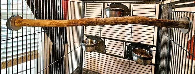 Polly's Full Length Hardwood Cage Perch for Parakeets, Cockatiels, Cockatoos, Macaws, and Other Birds (24")