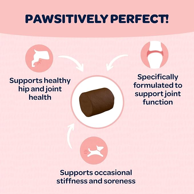 Hip and Joint Chews for Dogs | Dog Glucosamine Chews for Comfort & Mobility with Chondroitin MSM & Turmeric | Dog Joint Supplement for All Ages & Sizes | NASC Certified & Made in The USA | 90 Chews